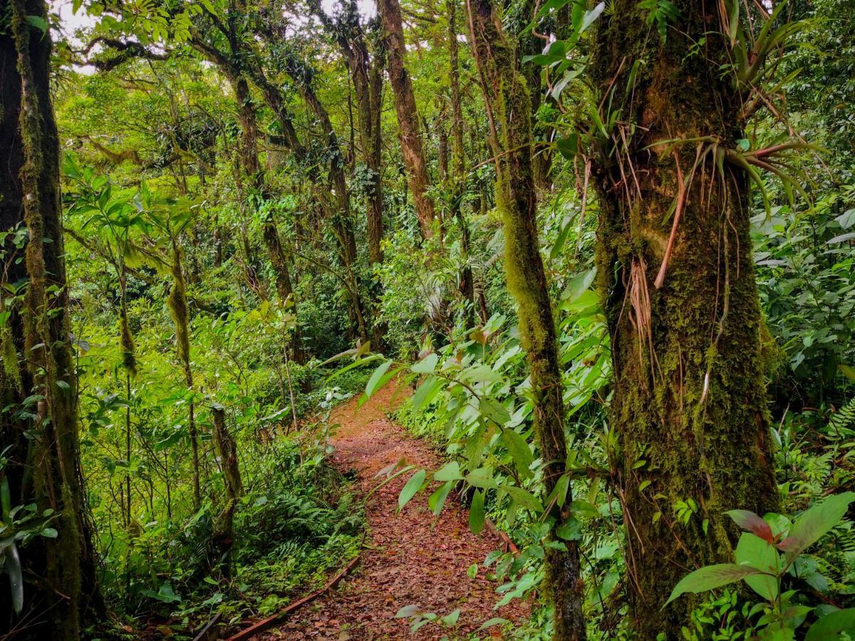 Burbi Lake Lodge Monteverde Εξωτερικό φωτογραφία