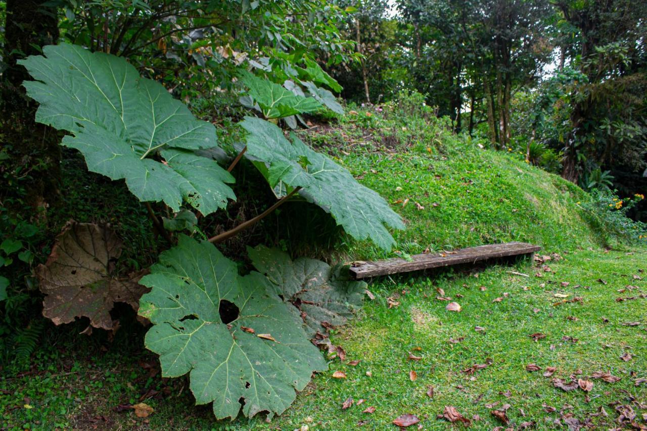 Burbi Lake Lodge Monteverde Εξωτερικό φωτογραφία