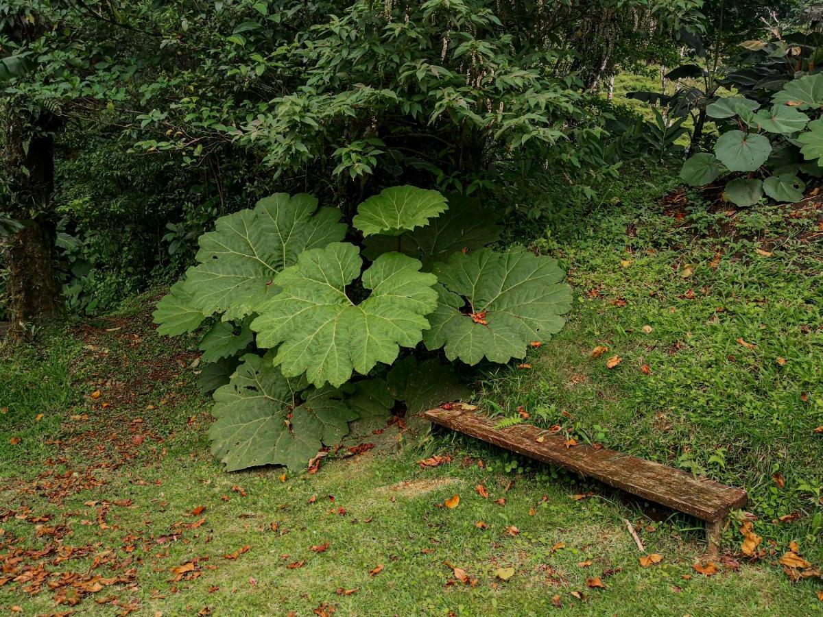 Burbi Lake Lodge Monteverde Εξωτερικό φωτογραφία