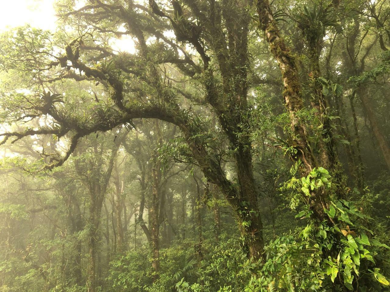 Burbi Lake Lodge Monteverde Εξωτερικό φωτογραφία